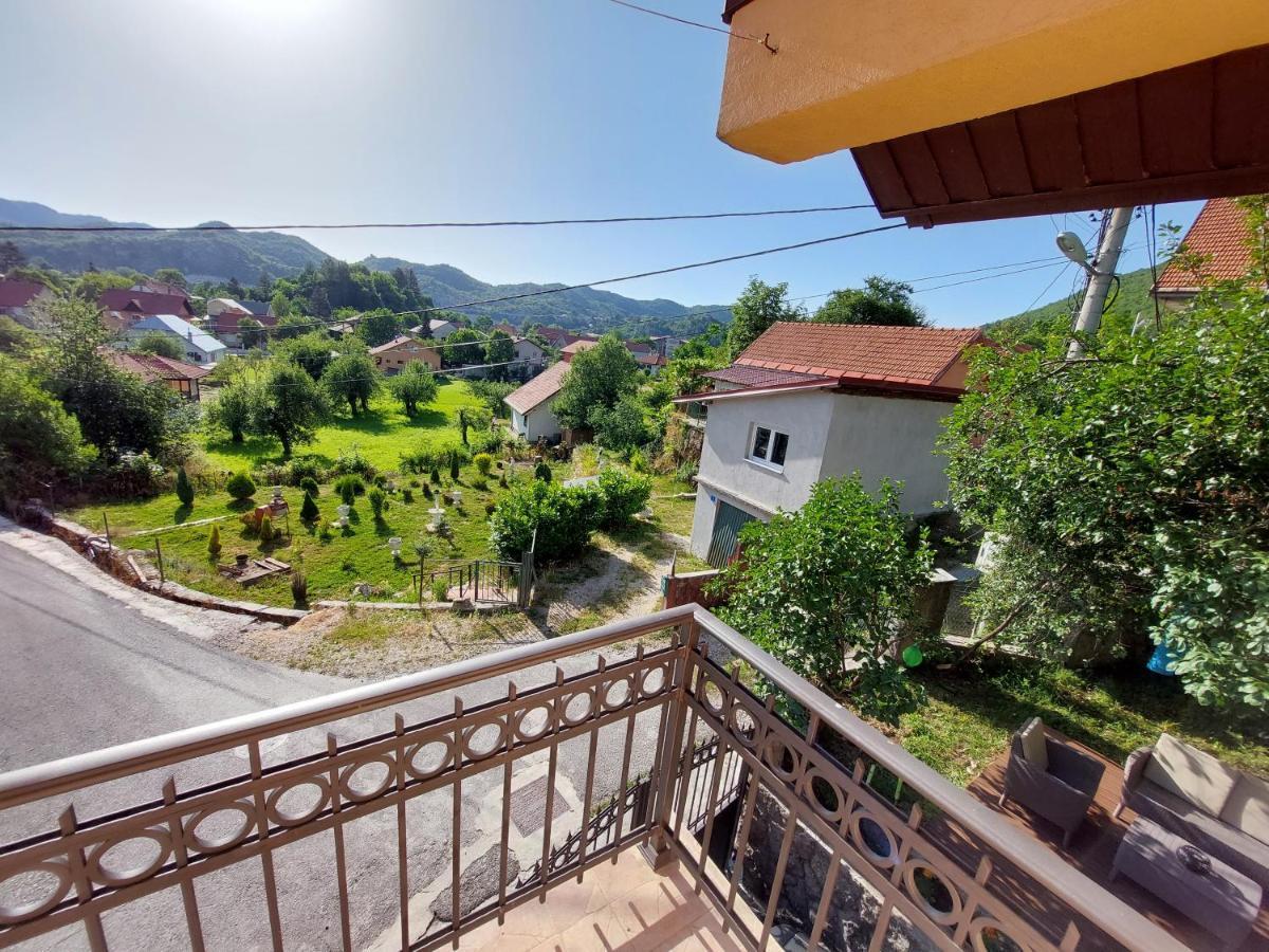 Milanovic * Cetinje