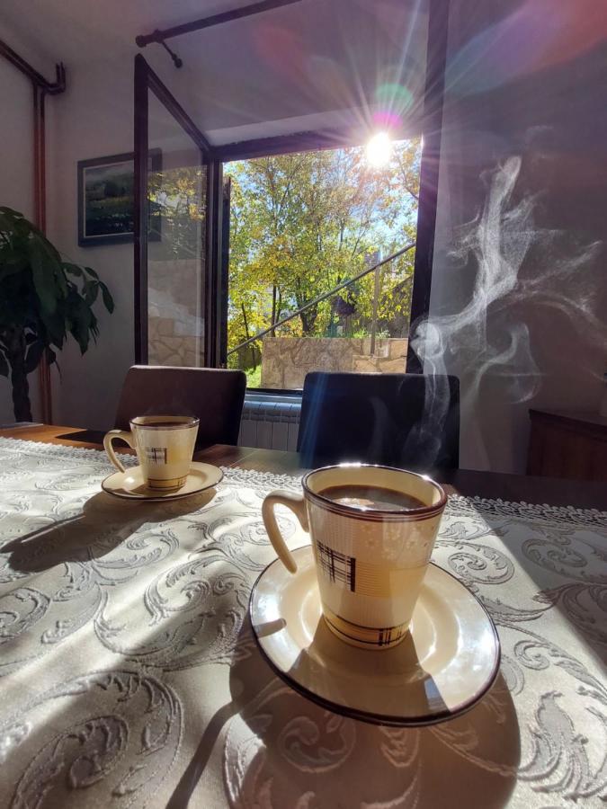 Milanovic Holiday home *